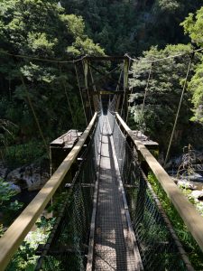 Charming Creek Walkway